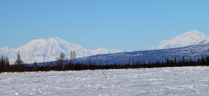 Looking North East from Shell Lake on the Iditarod Trail near the <a href="/webmapper/maps/169/canyon-creek-coal-lease-area/">Canyon Creek Coal Lease Area</a>.