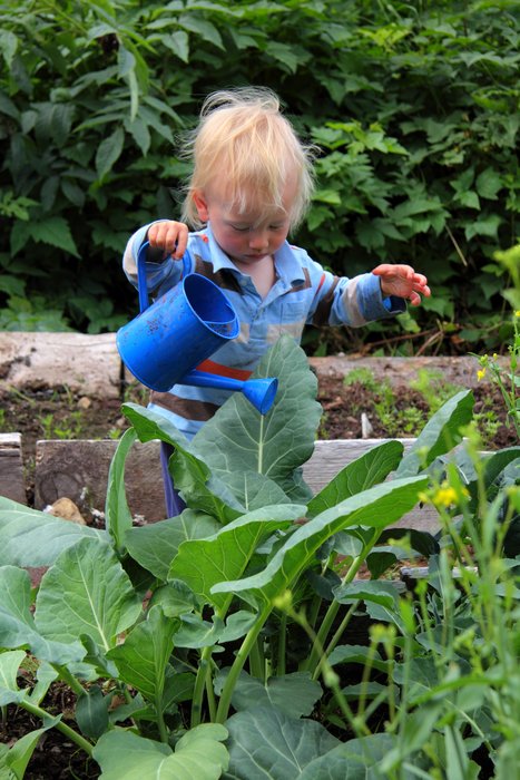 summer photos in and around the yurt