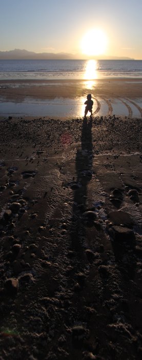 Katmai walks across the icy beach toward the waves.
