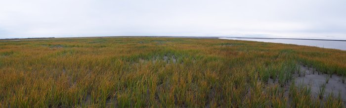 Susitna Flats