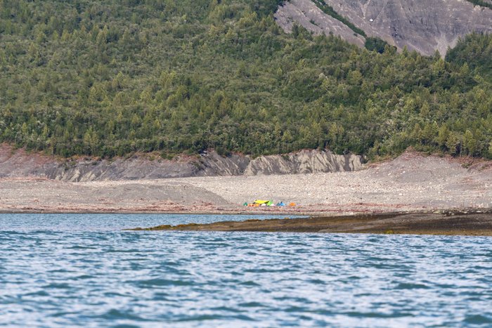 This section of coast along Taan Fjord is relatively flat, with broad alluvial fans. When a tsunami swept across them in 2015, it stripped the surface of vegetation, leaving "beaches" that extend up to 150 feet elevation.