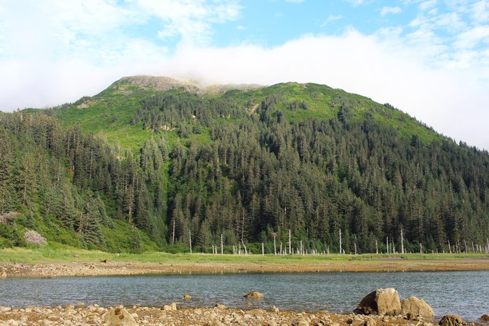 A nice beach below a forested slope to alpine proved a good place to begin our trail project.