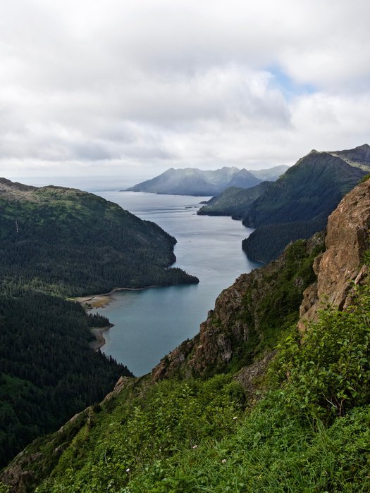 Looking out along the length of Taylor Bay to the mouth of Port Dick and the Gulf of Alaska.