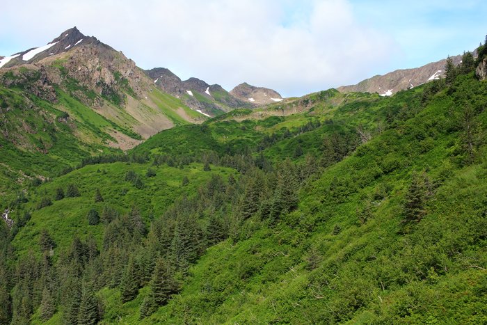 A bowl above Taylor Bay, as seen while scouting trail routes.