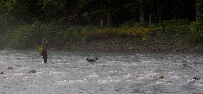 At low water, the Taylor River looks like this - reasonably easy to cross for someone comfortable with river crossings, but necessitating caution.