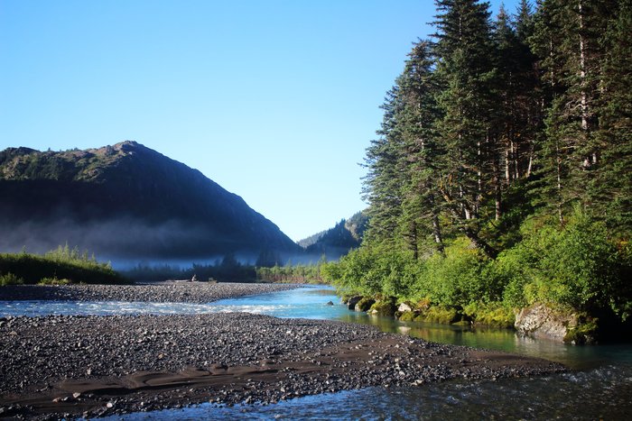A rare sunny morning on the Taylor River. The river is low, a shallow flow running over gravel bars built by frequent large floods.