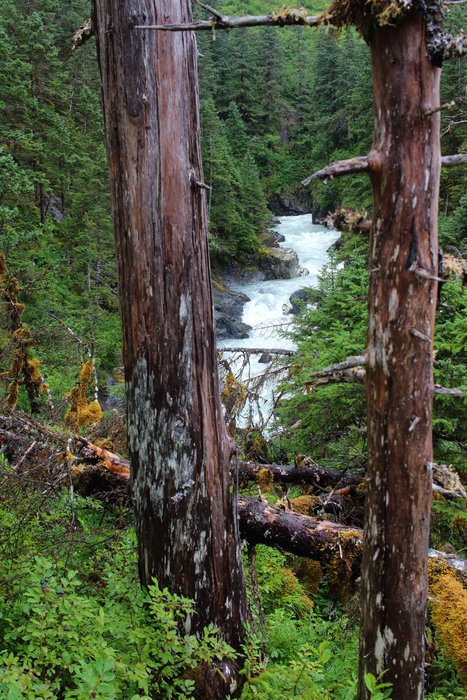 The river rages down a rocky gorge here - unsafe to cross on foot.