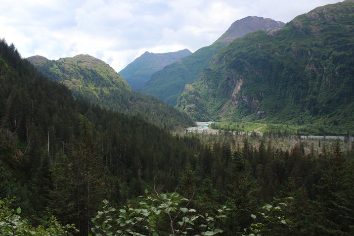 Steep terrain, dense brush, and big forest.
