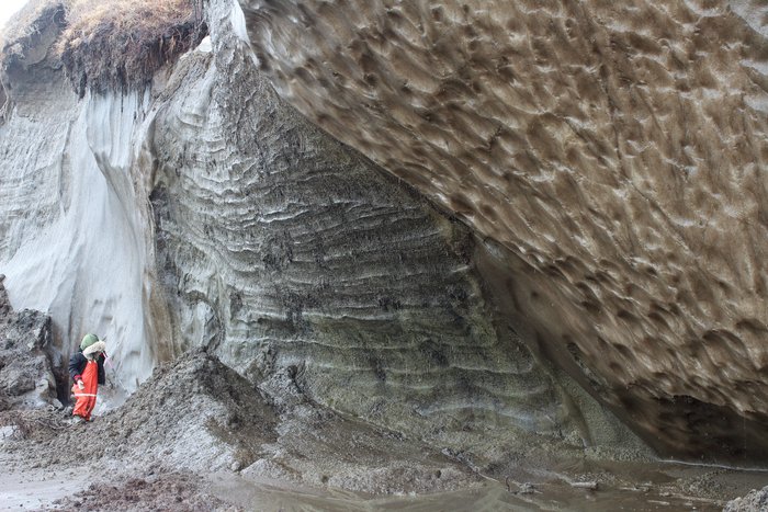 Permafrost melts along the coast of the Seward Peninsula, revealing thousands of years of freezing marsh, and swelling the ground with frozen groundwater.