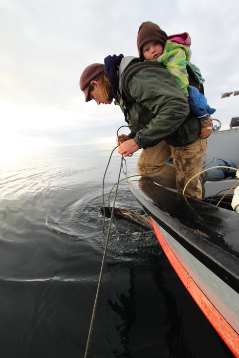 Kari and Duna getting their first look at a 120 lb halibut.