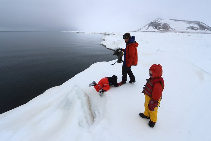 Open water absorbs sunlight, leading to dark skies over the polynya