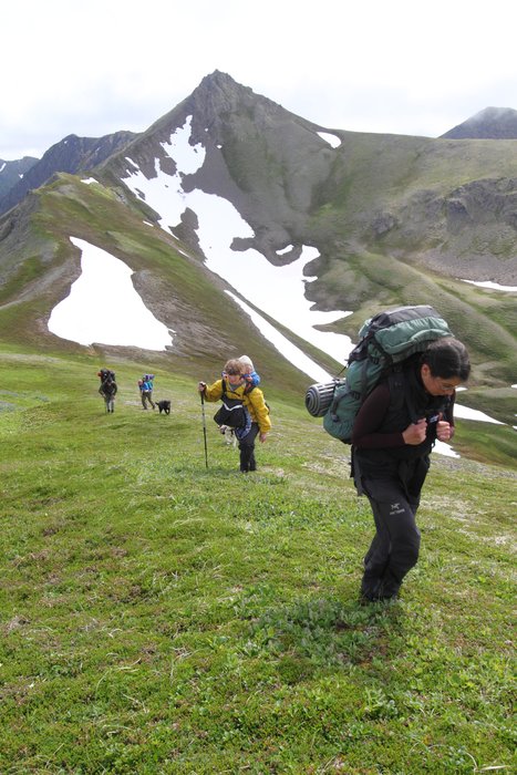 At the end of July 2010, ten adults, four babies, and six dogs walked from Red. Mt. to Seldovia.  These photos are from this improbable journey.