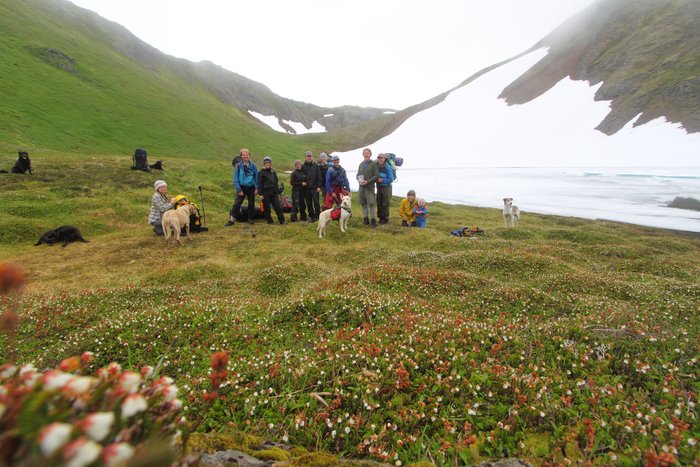 At the end of July 2010, ten adults, four babies, and six dogs walked from Red. Mt. to Seldovia.  These photos are from this improbable journey.