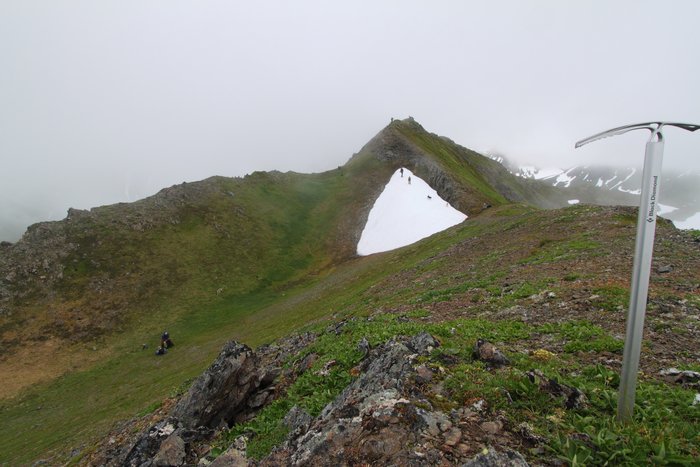 At the end of July 2010, ten adults, four babies, and six dogs walked from Red. Mt. to Seldovia.  These photos are from this improbable journey.