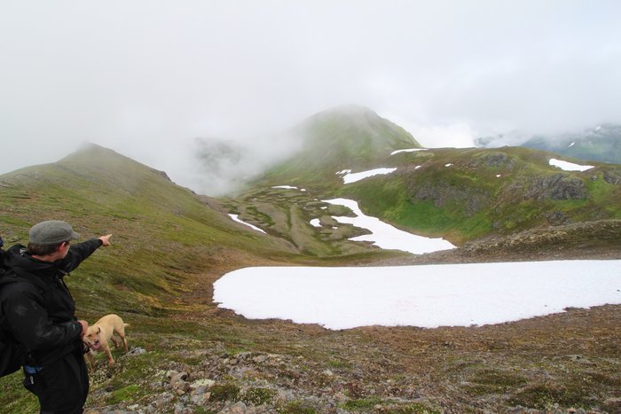 At the end of July 2010, ten adults, four babies, and six dogs walked from Red. Mt. to Seldovia.  These photos are from this improbable journey.