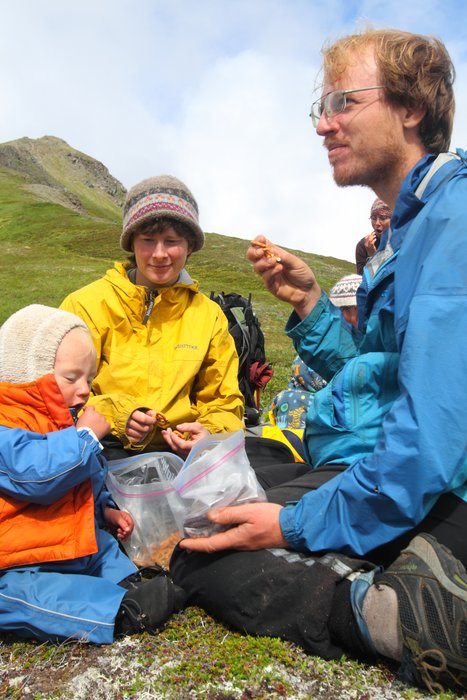 At the end of July 2010, ten adults, four babies, and six dogs walked from Red. Mt. to Seldovia.  These photos are from this improbable journey.