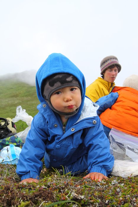 At the end of July 2010, ten adults, four babies, and six dogs walked from Red. Mt. to Seldovia.  These photos are from this improbable journey.