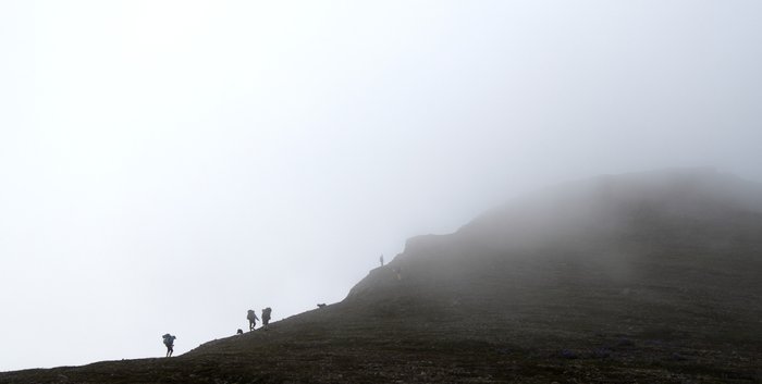 At the end of July 2010, ten adults, four babies, and six dogs walked from Red. Mt. to Seldovia.  These photos are from this improbable journey.