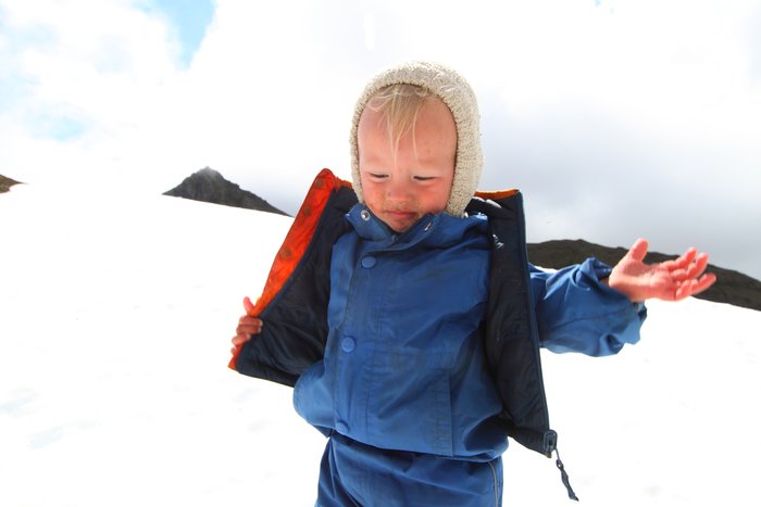 At the end of July 2010, ten adults, four babies, and six dogs walked from Red. Mt. to Seldovia.  These photos are from this improbable journey.