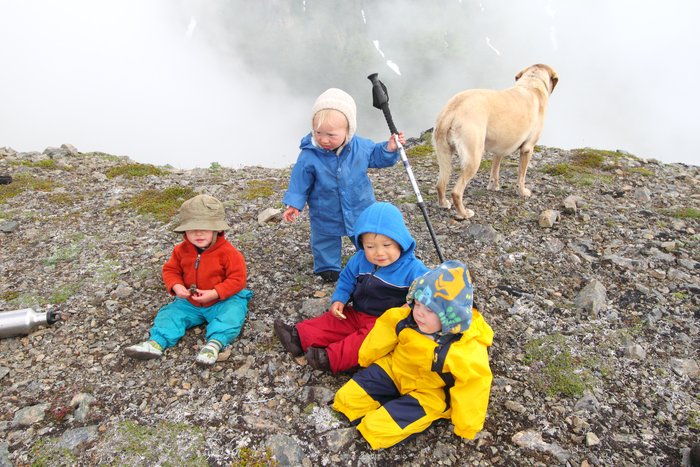 At the end of July 2010, ten adults, four babies, and six dogs walked from Red. Mt. to Seldovia.  These photos are from this improbable journey.