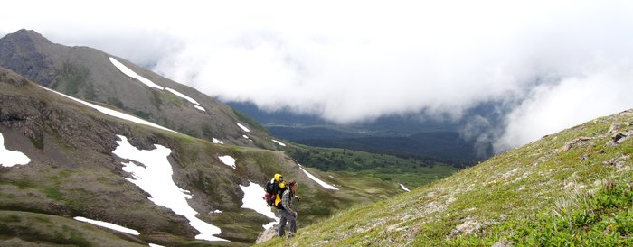 At the end of July 2010, ten adults, four babies, and six dogs walked from Red. Mt. to Seldovia.  These photos are from this improbable journey.