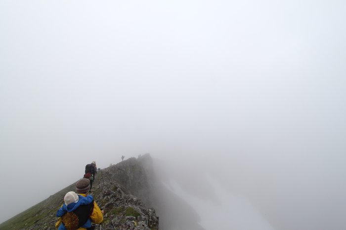 At the end of July 2010, ten adults, four babies, and six dogs walked from Red. Mt. to Seldovia.  These photos are from this improbable journey.