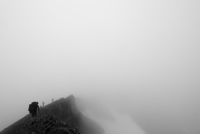 At the end of July 2010, ten adults, four babies, and six dogs walked from Red. Mt. to Seldovia.  These photos are from this improbable journey.