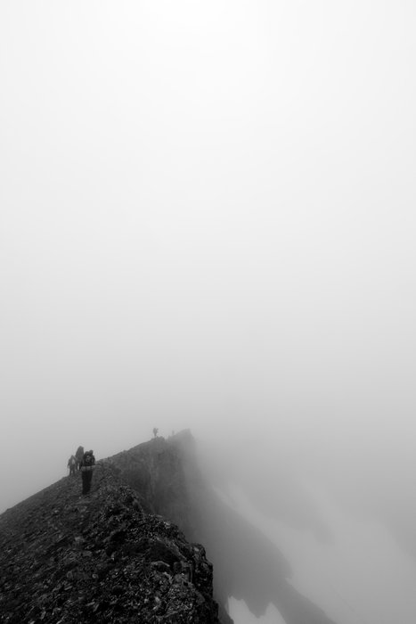 At the end of July 2010, ten adults, four babies, and six dogs walked from Red. Mt. to Seldovia.  These photos are from this improbable journey.