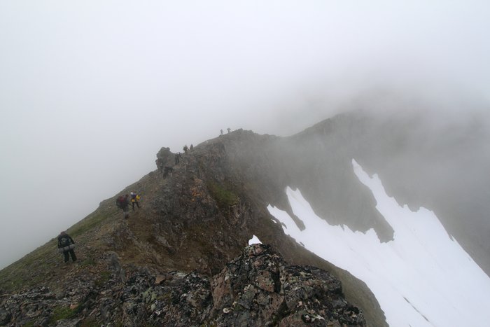 At the end of July 2010, ten adults, four babies, and six dogs walked from Red. Mt. to Seldovia.  These photos are from this improbable journey.