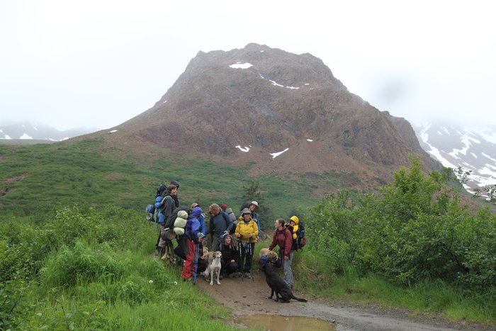 At the end of July 2010, ten adults, four babies, and six dogs walked from Red. Mt. to Seldovia.  These photos are from this improbable journey.