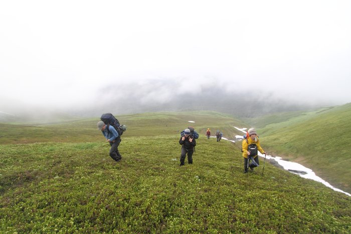 At the end of July 2010, ten adults, four babies, and six dogs walked from Red. Mt. to Seldovia.  These photos are from this improbable journey.