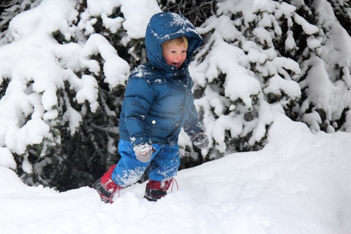 Our weekly day in the woods, in the snowy hills near Wadsworth Creek