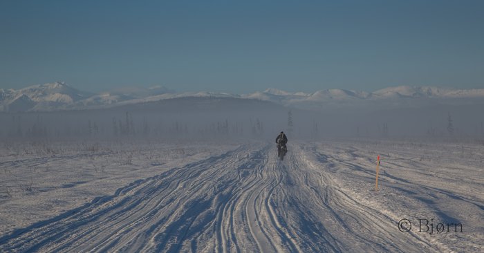 Fat-biking into morning fog along the Iditarod Trail.