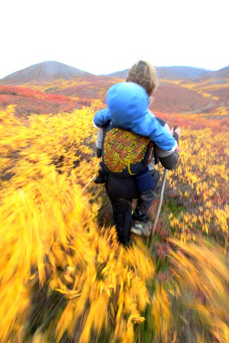 Willows rebound as Erin strides through them.