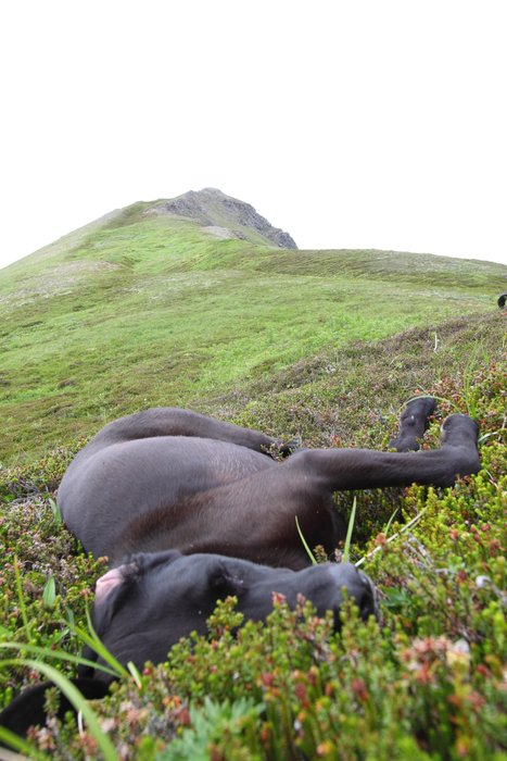 Stella had a great time, but by the end she was ready to take a nap every time we paused for a rest.