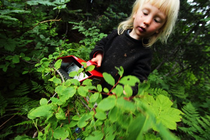 Katmai tries his hand at using the picker