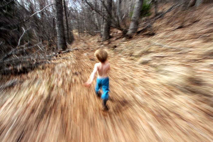 A warm day and Katmai kept dropping layers until he was shirtless, and this inspired trail running.