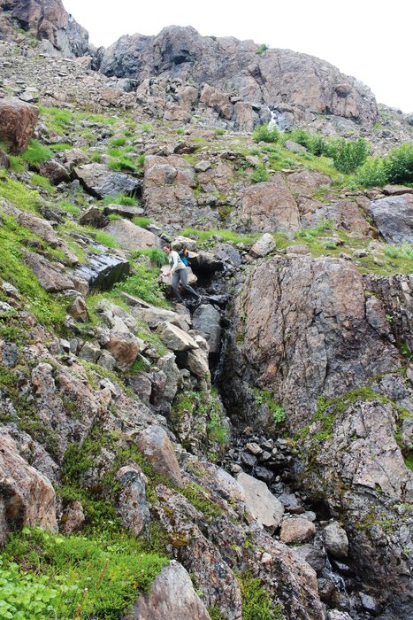 Alayne Tetor scouts potential routes for the <a href="http://www.groundtruthtrekking.org/tutka_backdoor/">Tutka Backdoor</a> trail in the mountains above Taylor Bay.
