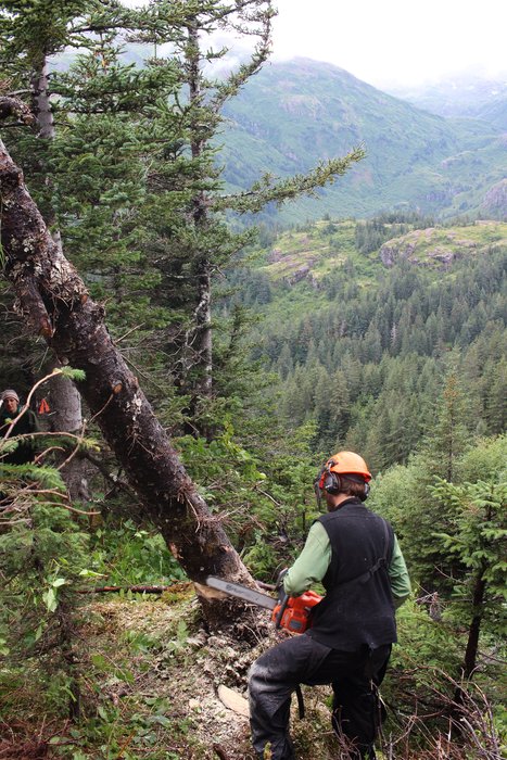 Jeff Lee cuts a small tree out of the trail