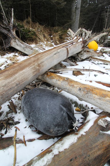 Buoy washed from the Japanese tsunami