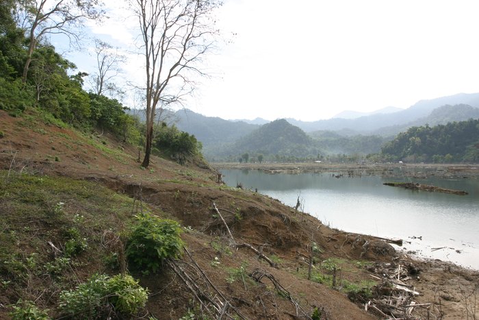 Plants sprout to reclaim area scoured clean by the 2004 Sumatra tsunami.  This photo was taken April 10, about three and a half months after a twenty meter wave flowed kilometers in across this coast.