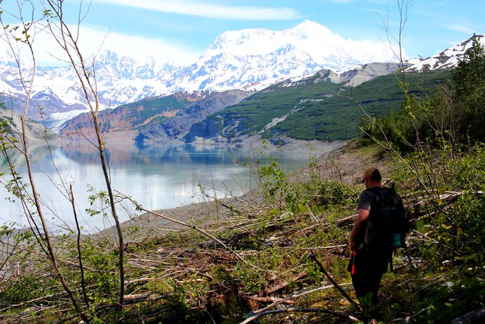 A tsunami scoured trees along the wall of this long fjord in Alaska.