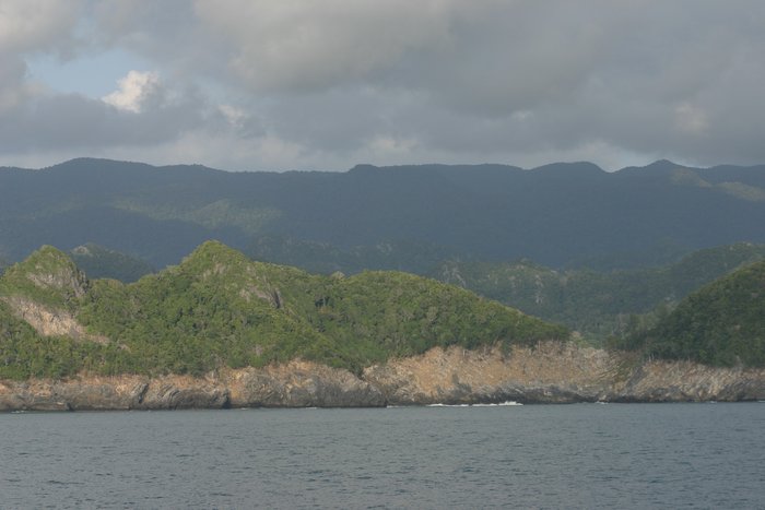 Violent tsunami flows reached nearly 40 meters at this point along the coast of Sumatra, stripping vegetation and soil up the the limit of inundation.