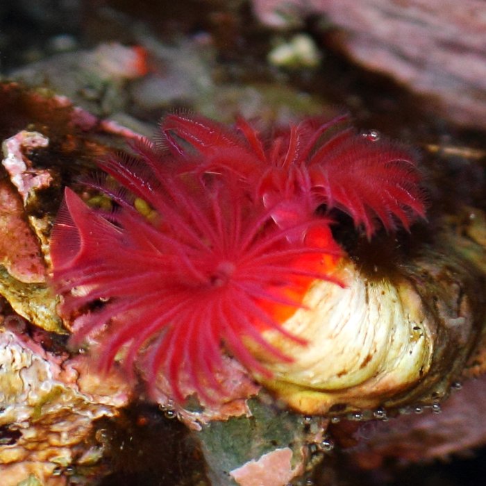 Outside Beach and Naskowak Point