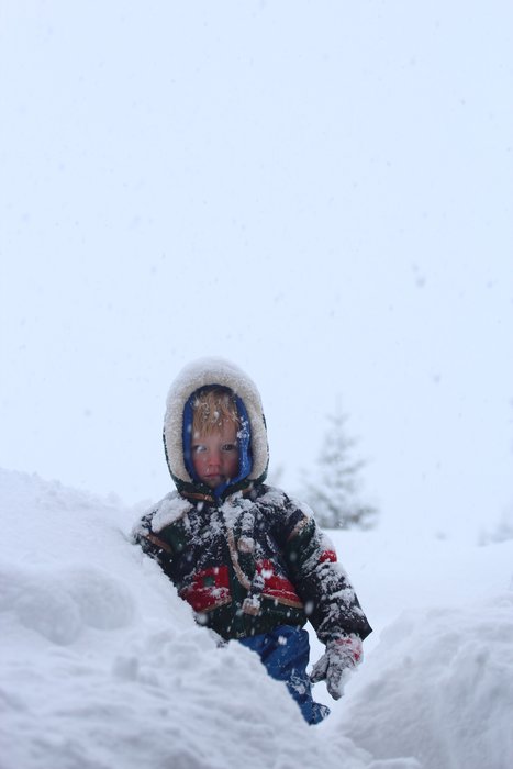 At ground level in summertime, our under-yurt space is several feet below the surface of the snow, and perpetually drifting in.