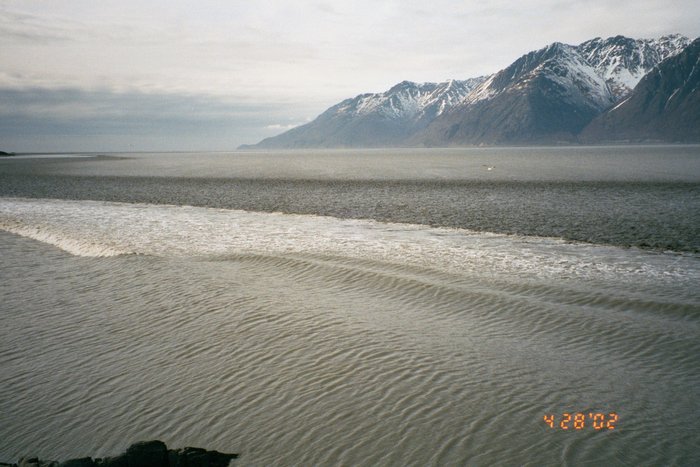 The bore just after crossing a dry bar and entering deeper water is only partially breaking.