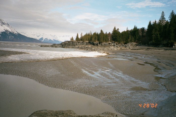Photo 4 - the tip of the bore is still moving fast across dry ground.  Eventually it reaches a height of nearly 3 m above the pre-bore water level.