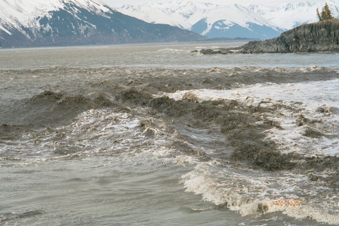 Photo 7 -the reflected bore accelerates as it enters water about 2 meters deep at roughly the shore-line before the bore.