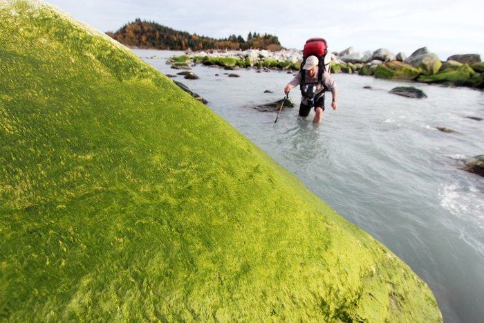 Carl lead the way across this channel, but the unseen bottom proved too uncertain, and then the tide began flooding in.