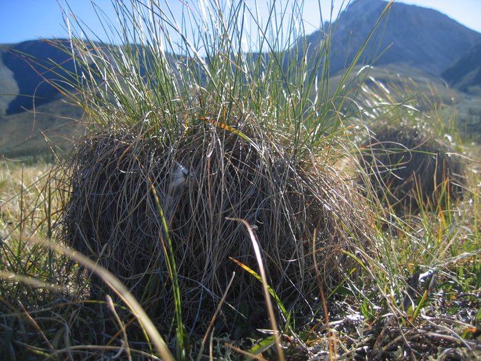 Warming climate means a drying landscape.